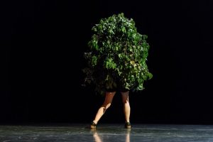 Irina Lorez - I Am Tree